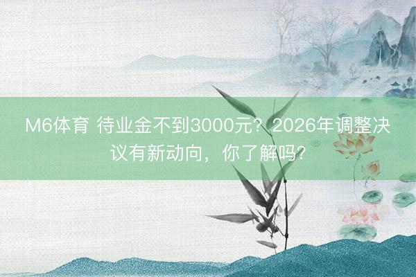 M6体育 待业金不到3000元？2026年调整决议有新动向，你了解吗？