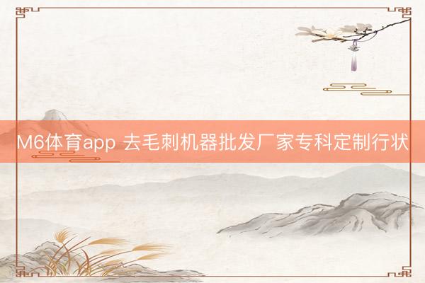 M6体育app 去毛刺机器批发厂家专科定制行状