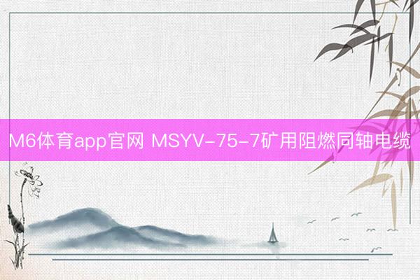 M6体育app官网 MSYV-75-7矿用阻燃同轴电缆