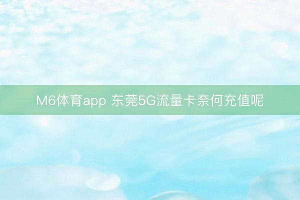 M6体育app 东莞5G流量卡奈何充值呢
