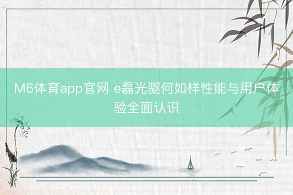 M6体育app官网 e磊光驱何如样性能与用户体验全面认识