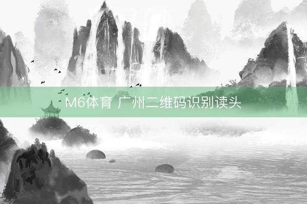 M6体育 广州二维码识别读头