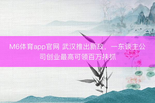 M6体育app官网 武汉推出新政,一东谈主公司创业最高可领百万扶抓