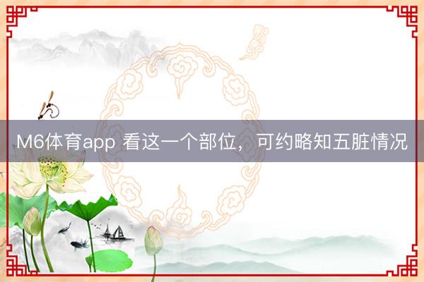 M6体育app 看这一个部位，可约略知五脏情况